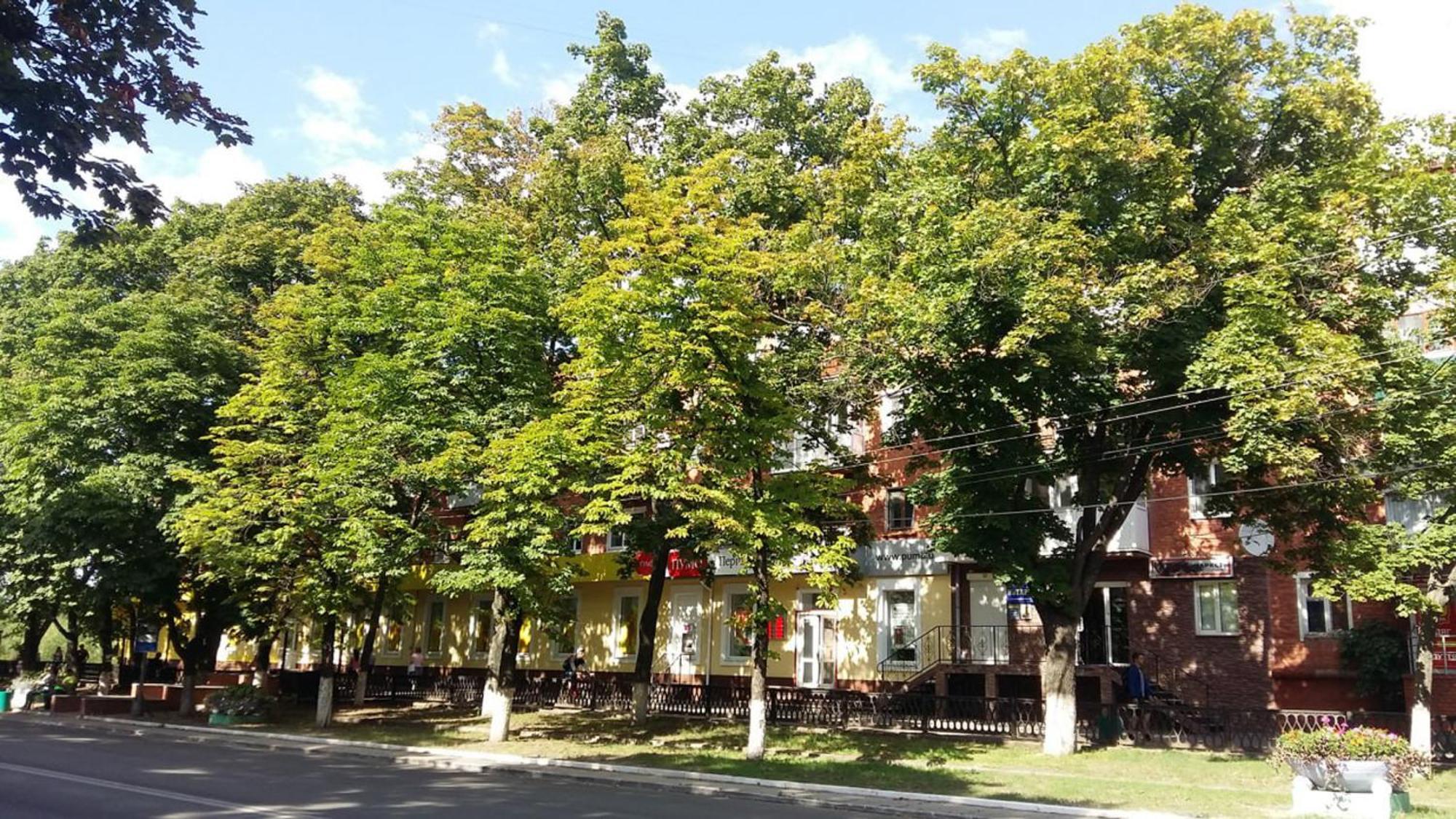 Затишна Квартира На Проспекті Соборний 61 Oleksandriia Exteriér fotografie